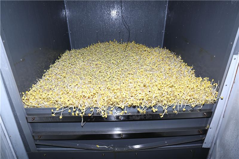 《海贼王》动画796先行图:四皇发威 恐怖能力亮相:星空官网(图2) 星空官网