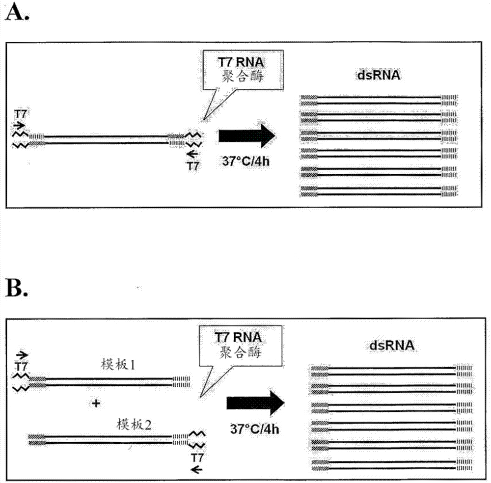 星空官网_剥茶叶蛋也让人把持不住 福利画师推出台湾美食插画(图3) 星空官网