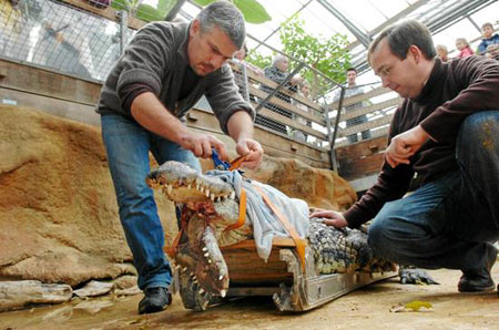 重庆沙坪坝萌娃暑假游红门 零距离观摩消防【星空官网】(图1) 星空官网